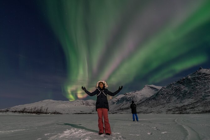 Small Group Tromsø: Northern Lights Chase with Photos and Dinner - Stop on the Night: What Happens When You Arrive in the Viewing Area