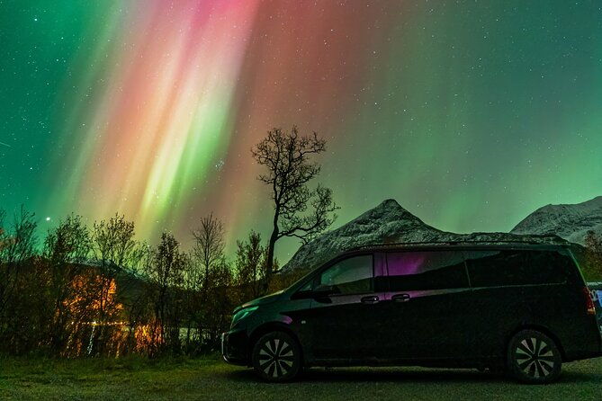 Small Group Van Journey in Search of the Northern Lights - Key things I’d bet on before you book