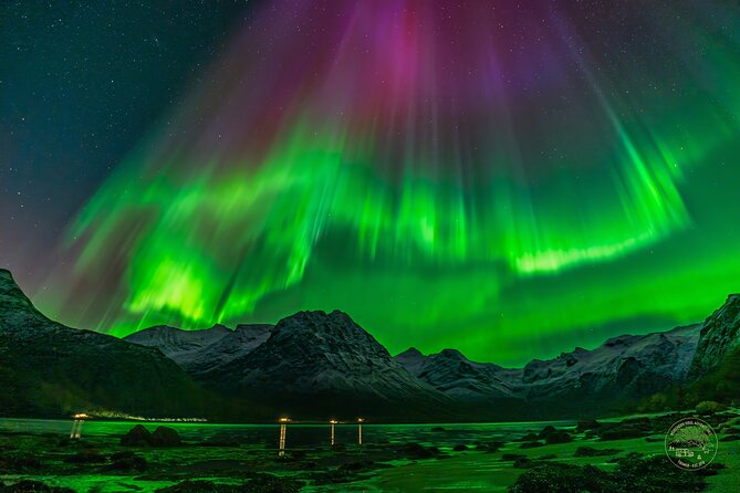 Small Group Van Journey in Search of the Northern Lights - Heated gear, hot drinks, and the comfort you actually notice at night