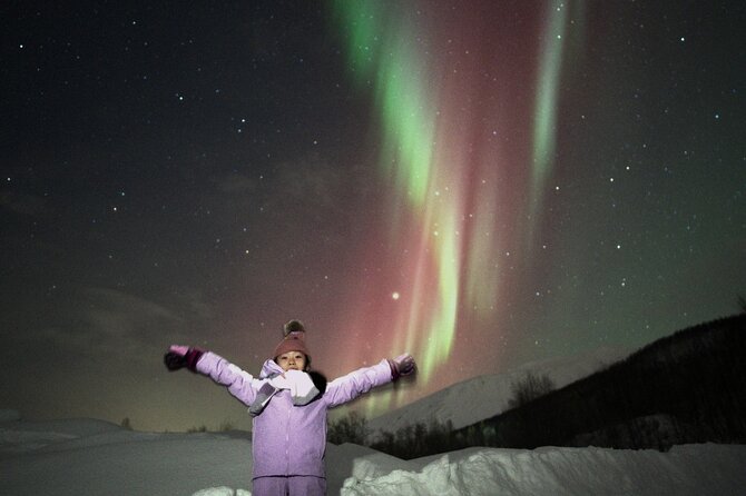 Small Northern Lights Tour Max 8 Guests Pickup and Photography - Photos in Original RAW: why it matters more than you think