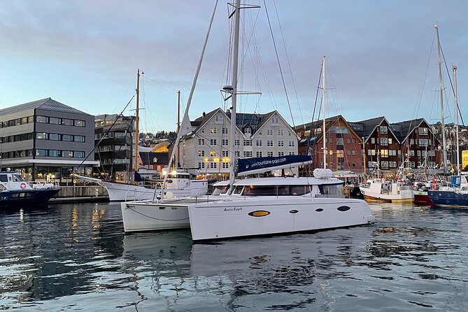 Snorkeling with Orcas In Norway, 4 days All-Inclusive expedition - Safety, wildlife rules, and why the “not guaranteed” note matters