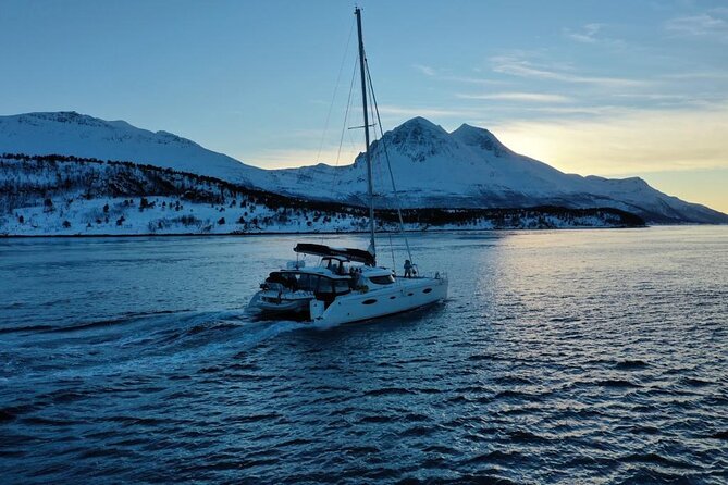 Snorkeling with Orcas In Norway, 4 days All-Inclusive expedition - Meals and onboard comfort: all-inclusive works better at sea