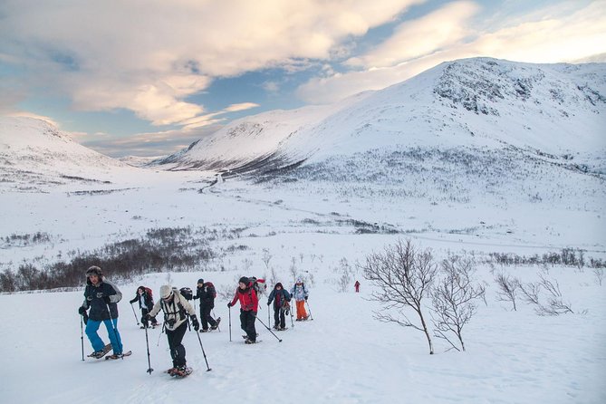 Snowshoe Hill Hike in Tromsø - Key Points You Should Know