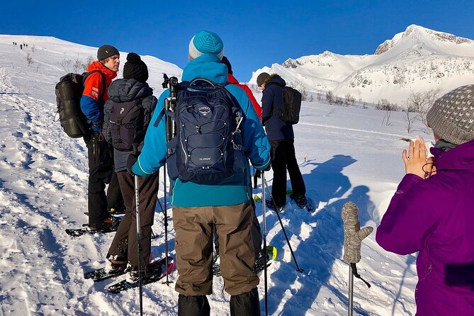 Snowshoe Hill Hike in Tromsø - Fjords First: The Road Trip Through Kvaløya and Tromsø Views