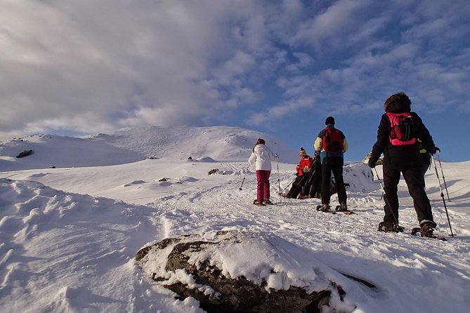 Snowshoe Hill Hike in Tromsø - Price and Logistics: What $153.21 Buys You