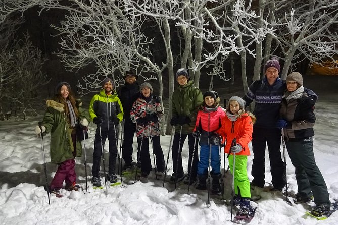 Snowshoe trip with a campfire in Tromso - Price and Timing: Is 3 Hours Worth It?