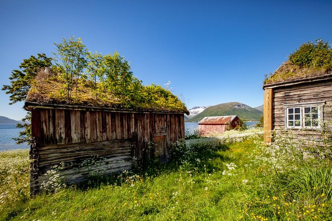Summer Fjord Road Trip with Citizen Science with Wandering Owl - Kvaløya, Ersfjord, and Grøtfjord: The Fjord Views That Make the Drive Worth It
