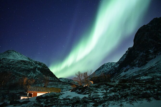 The Aurora Tour - small group, northern lights - Warm Break by Fire: Marshmallows, Tea, and the Best Part of Waiting