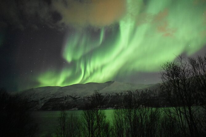 The Aurora Tour - small group, northern lights - Who Should Book This Small-Group Aurora Chase