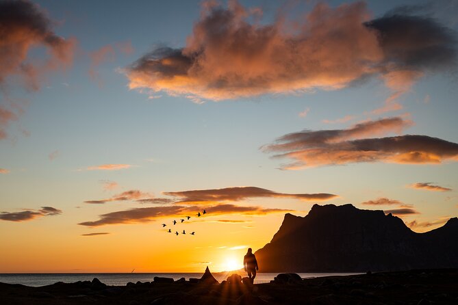 Tour of the authentic fjords of Kvaløya - Sommarøy Village and the Beach Moment You Did Not Expect in Norway