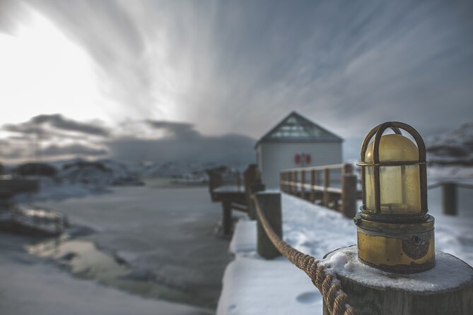 Tour of the authentic fjords of Kvaløya - Weather Reality: When Snow Makes It Better, and When It Changes the Plan