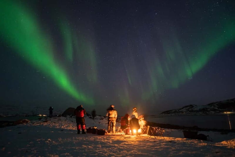 Tromsø: Adult Only Aurora hunt with Citizen Science - Key things that make this Aurora hunt work