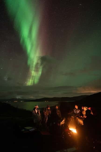 Tromsø: Adult Only Aurora hunt with Citizen Science - How the night photography coaching actually helps