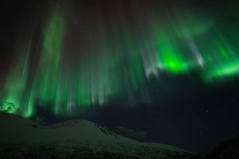 Tromsø: Adult Only Aurora hunt with Citizen Science - Price and value: why $279 can feel fair here