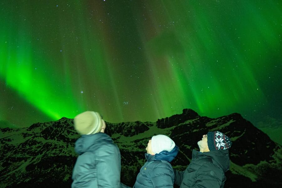 Tromsø Adventurous Northern Lights Small-Group - The Arctic chase plan: coast, inland, or up toward the Finnish border