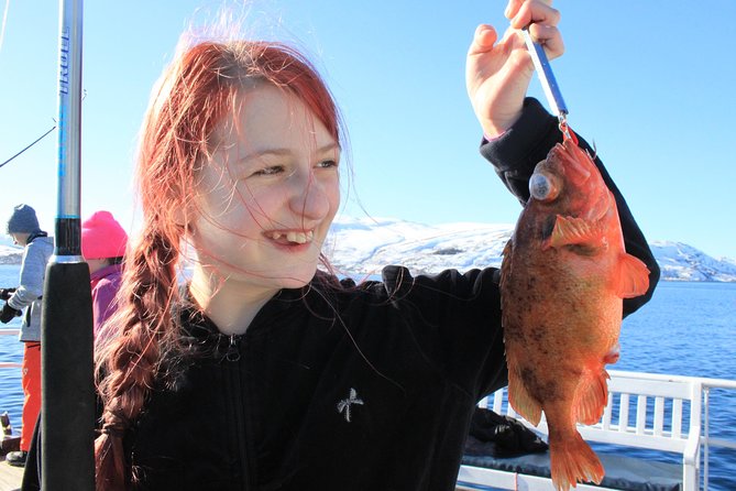 Tromsø: Arctic Fjord Cruise & Fishing Experience - Key things you will notice on this Tromsø Arctic cruise