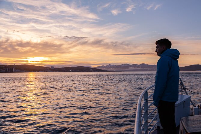 Tromsø: Arctic Fjord Cruise & Fishing Experience - Wildlife odds around Tromsø: what the guides actively help you see