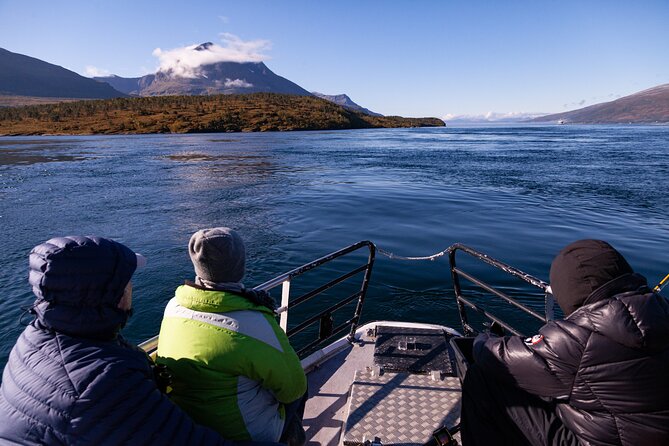 Tromsø: Arctic Fjord Cruise & Fishing Experience - Fishing for Arctic cod: the hands-on part, plus realistic expectations