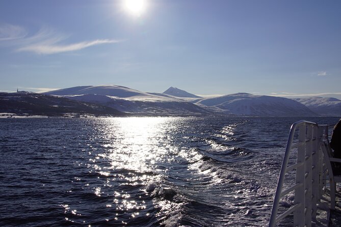 Tromsø: Arctic Fjord Cruise & Fishing Experience - Warmth and thermal suits: comfort that matters in Arctic weather