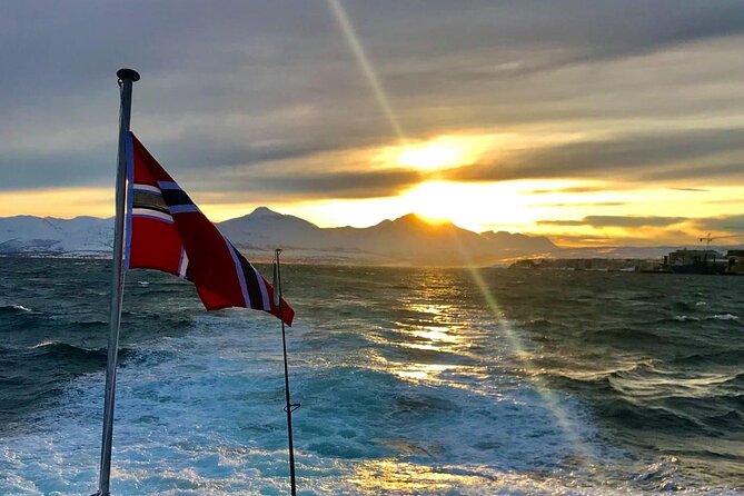 Tromsø: Arctic Fjord Cruise & Fishing Experience - Food and hot drinks onboard: fish soup that is actually part of the point