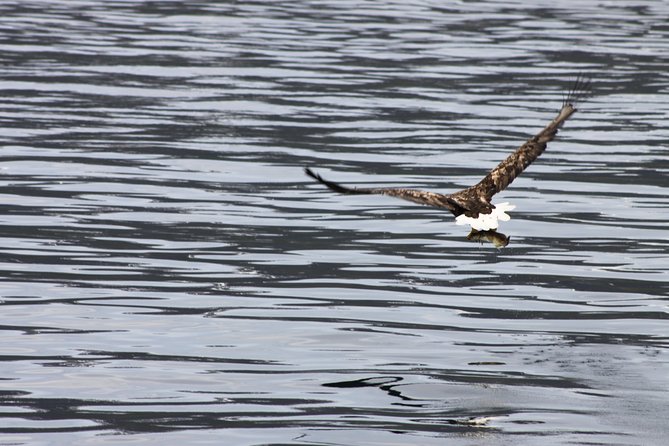 Tromsø: Arctic Fjord Cruise & Fishing Experience - Who this tour suits best, and who might want to adjust