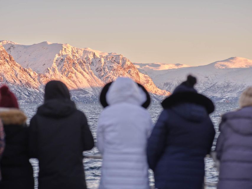 Tromsø: Arctic Fjord Cruise in Polar Landscapes - Who this Tromsø Arctic fjord cruise fits best