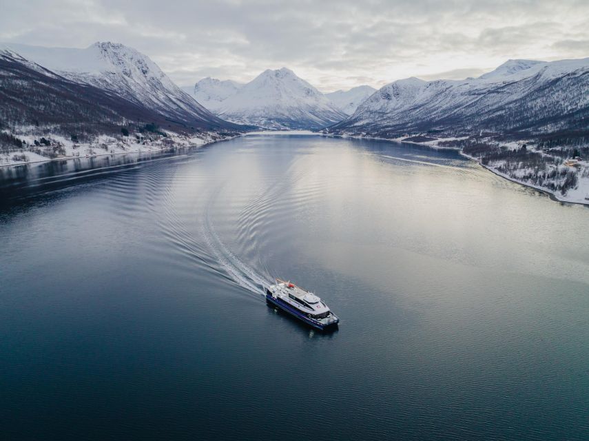 Tromsø: Arctic Fjord Cruise in Polar Landscapes - Route surprises on the coldest days, and why the captain changes plans