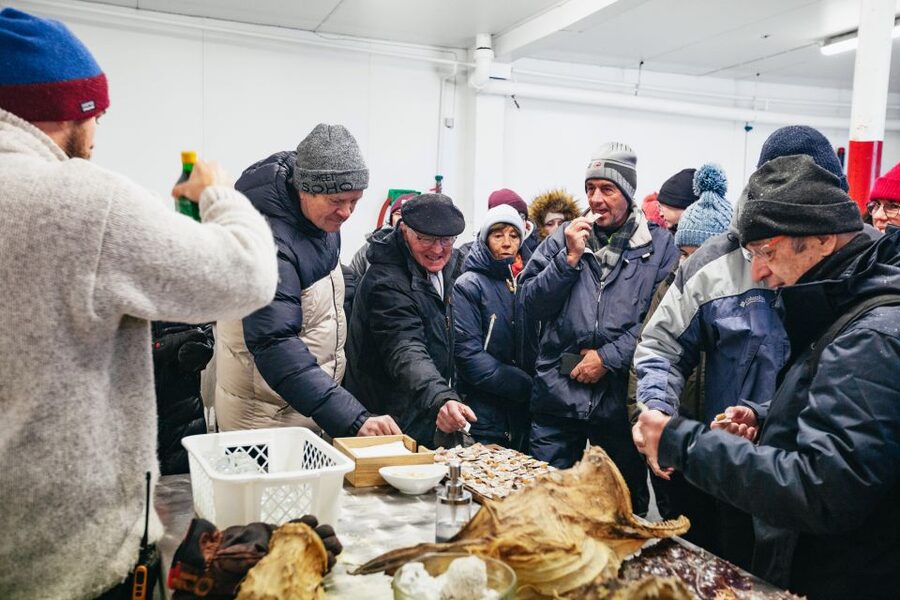 Tromsø: Arctic Fjord Cruise With Stop On Land At Fish Racks - The underwater drone: what it does for your understanding of the Arctic