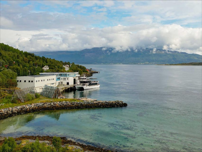 Tromsø: Arctic Fjord Cruise With Stop On Land At Fish Racks - Wildlife spotting: what you should watch for (and what you shouldn’t stress about)