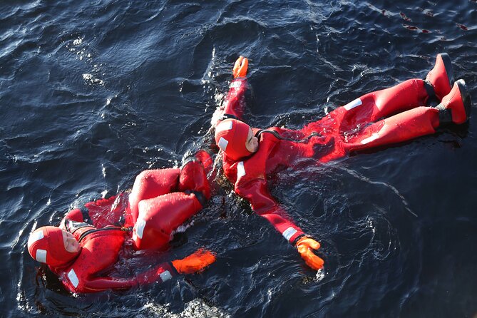 Tromso Arctic Fjord Floating - Marine life and fjord night skies: what your guide brings to the session