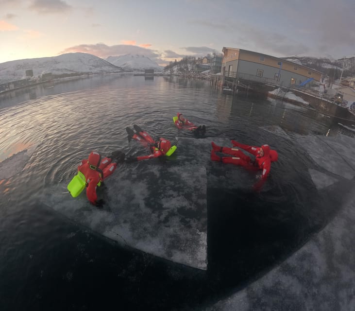 Tromsø: Arctic Fjord Floating in Survival Suit - Tromsø Fjord Floating Feels Weird in the Best Way