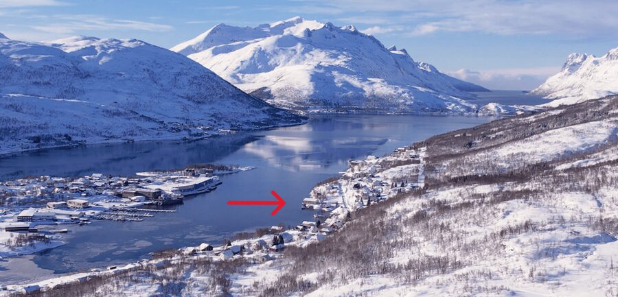 Tromsø: Arctic Fjord Floating in Survival Suit - Who Should Book It, and Who Should Skip It