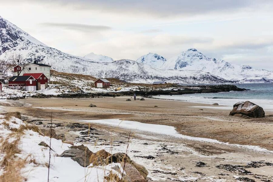 Tromsø: Arctic Landscape and Fjord Tour with Snacks - Key things I’d circle on your planning list