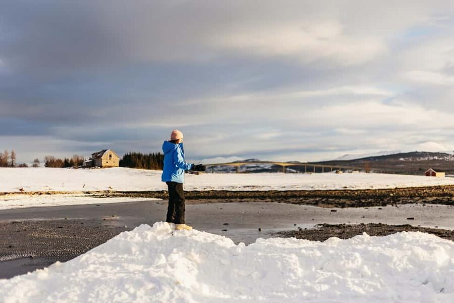 Tromsø: Arctic Landscape and Fjord Tour with Snacks - Wildlife: what you can realistically hope to spot
