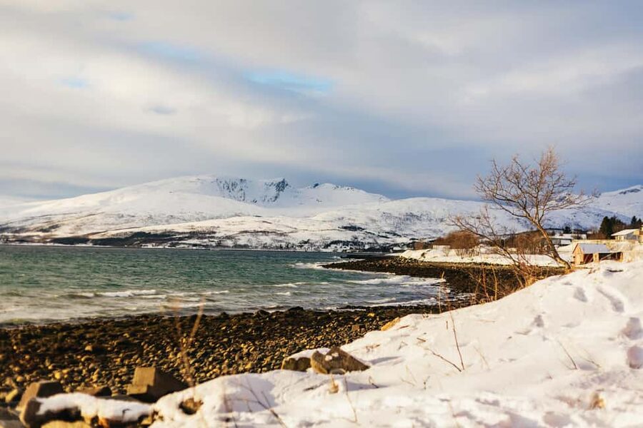 Tromsø: Arctic Landscape and Fjord Tour with Snacks - Who this tour is best for (and who should rethink it)