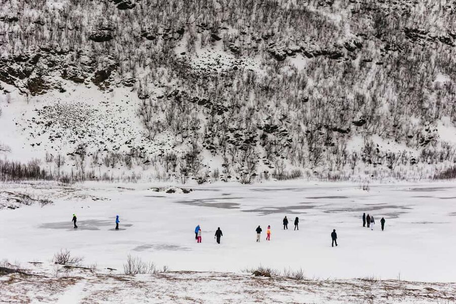 Tromsø: Arctic Landscape and Fjord Tour with Snacks - Getting to the views: the minivan comfort and real-world logistics