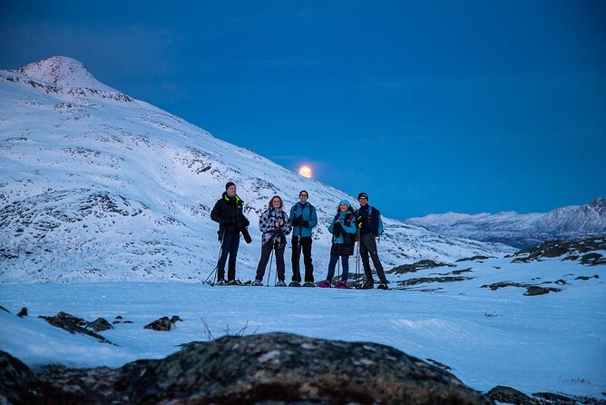 Tromsø: Arctic Landscapes Hiking / Snowshoeing Tour in the wild - Professional Photos You Can Actually Use