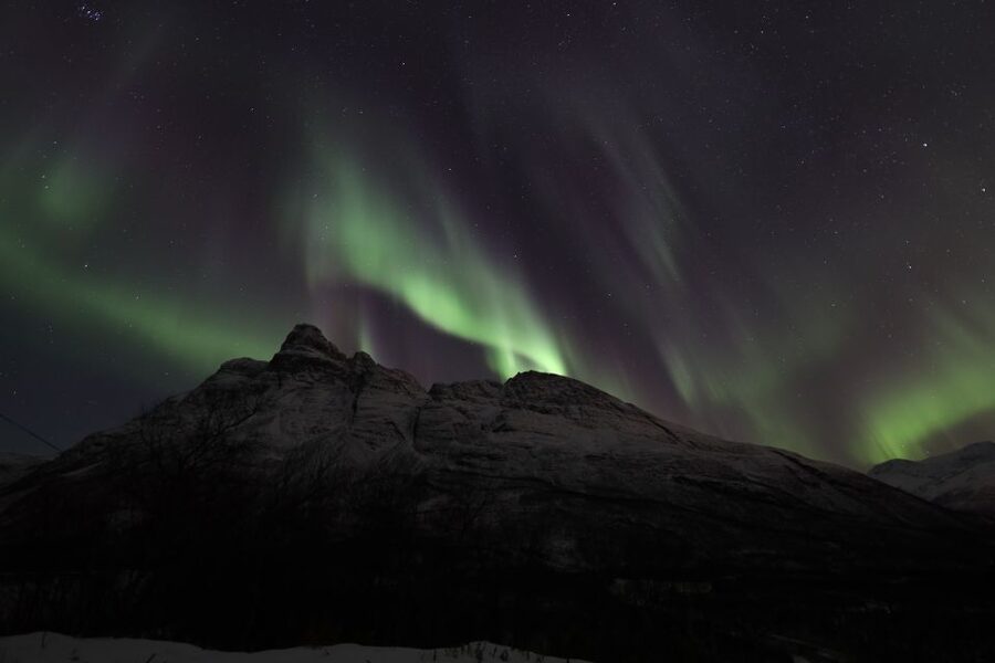 Tromsø: Aurora Borealis, Campfire, Hot Meal, Arctic Tour - Price and value: is $251 a fair deal for Tromsø aurora time