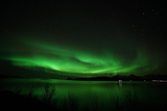 Tromso Aurora Chase by Minibus with Thermal Suit, Snack and Photo - The night program: Tromsø, Hansnes, Kilpisjarvi, Bardufoss, and Sommarøy