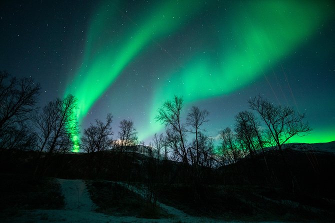 Tromso Aurora Chase by Minibus with Thermal Suit, Snack and Photo - Bonfire and warm breaks, because waiting is part of the job