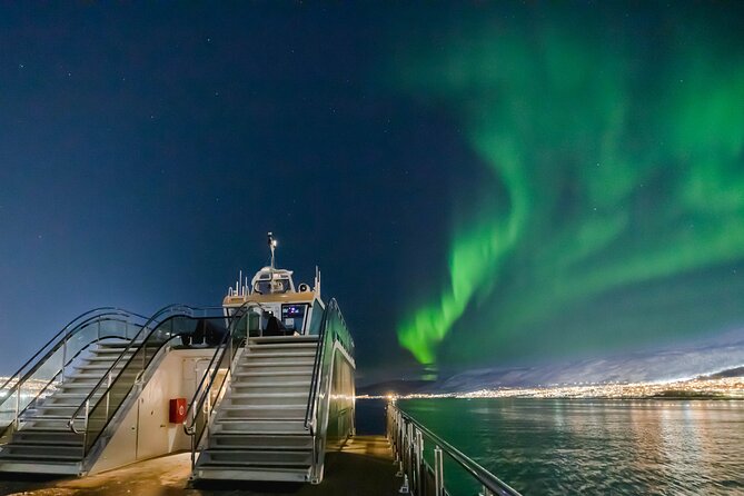 Tromso Aurora Cruise with 3-Course Dinner - Why This Electric Aurora Cruise Feels Different in Tromsø