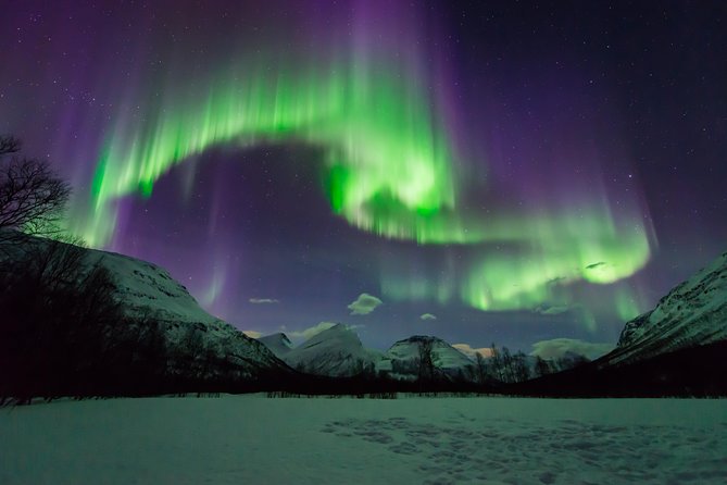 Tromso Aurora Hunt with Bonfire, Soup, Winter Gear & Transfers - Thermal Suits, Boots, and the Cold-Proof Comfort Strategy