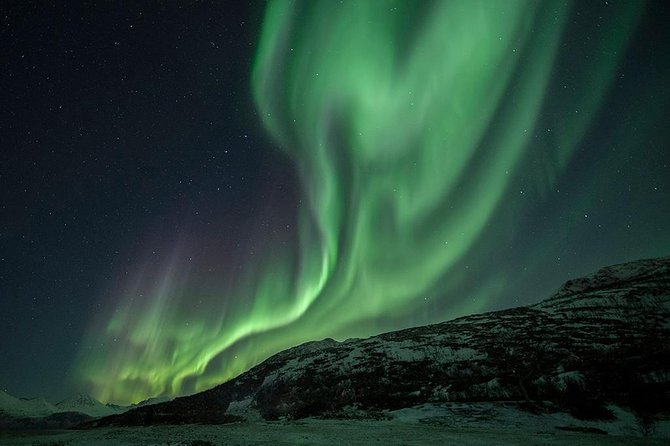 Tromso Aurora Hunt with Bonfire, Soup, Winter Gear & Transfers - Bonfire Soup and What It Does for the Experience