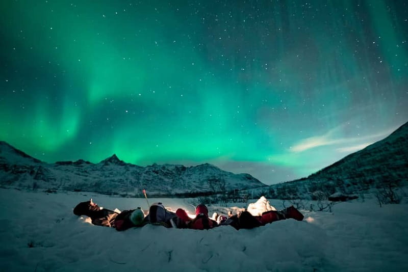 Tromsø: Aurora Hunt with Citizen Science - Key highlights worth your attention