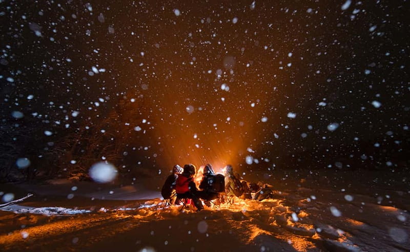 Tromsø: Aurora Hunt with Citizen Science - Citizen Science Part, What You Are Contributing in the Field