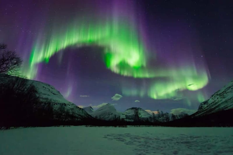 Tromsø: Aurora Hunt with Citizen Science - Aurora Hunt With Citizen Science, What Makes This One Different