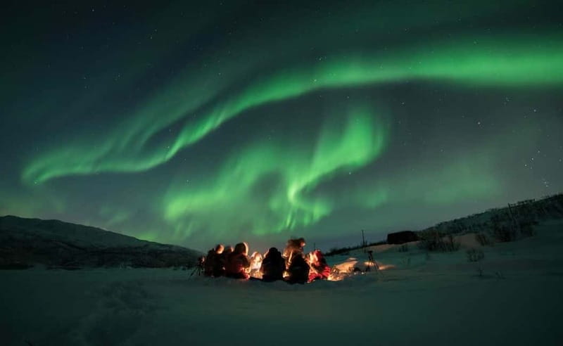 Tromsø: Aurora Hunt with Citizen Science - The Value of Paying Around $250 for 8 Hours of Arctic Night Work