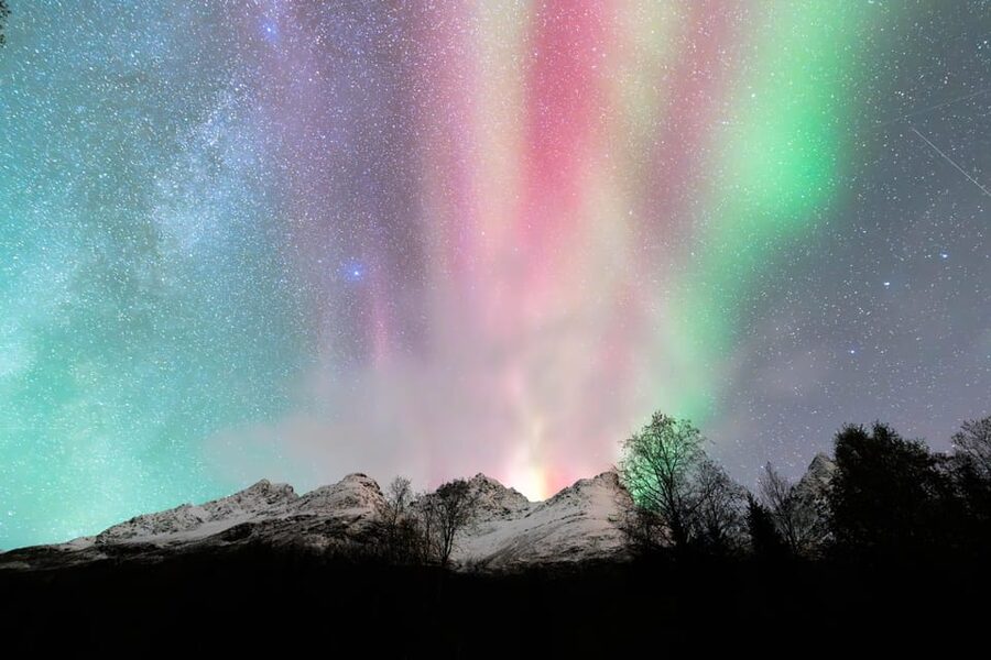 Tromsø: Aurora Quest Minibus Adventure - Price and value: what $212 buys you for an aurora night
