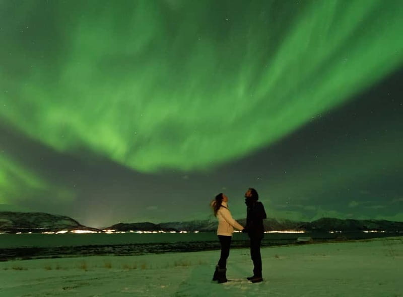 Tromsø: Aurora Safari Chase by big bus with Camp meal - Key things to know before you go