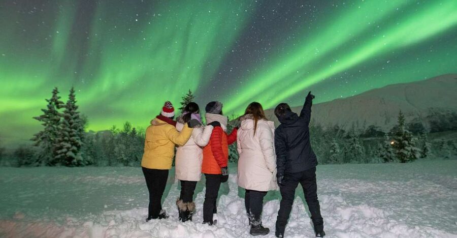 Tromsø: Aurora Safari Chase by big bus with Camp meal - Aurora photos: tripods, guide portraits, and smartphone focus